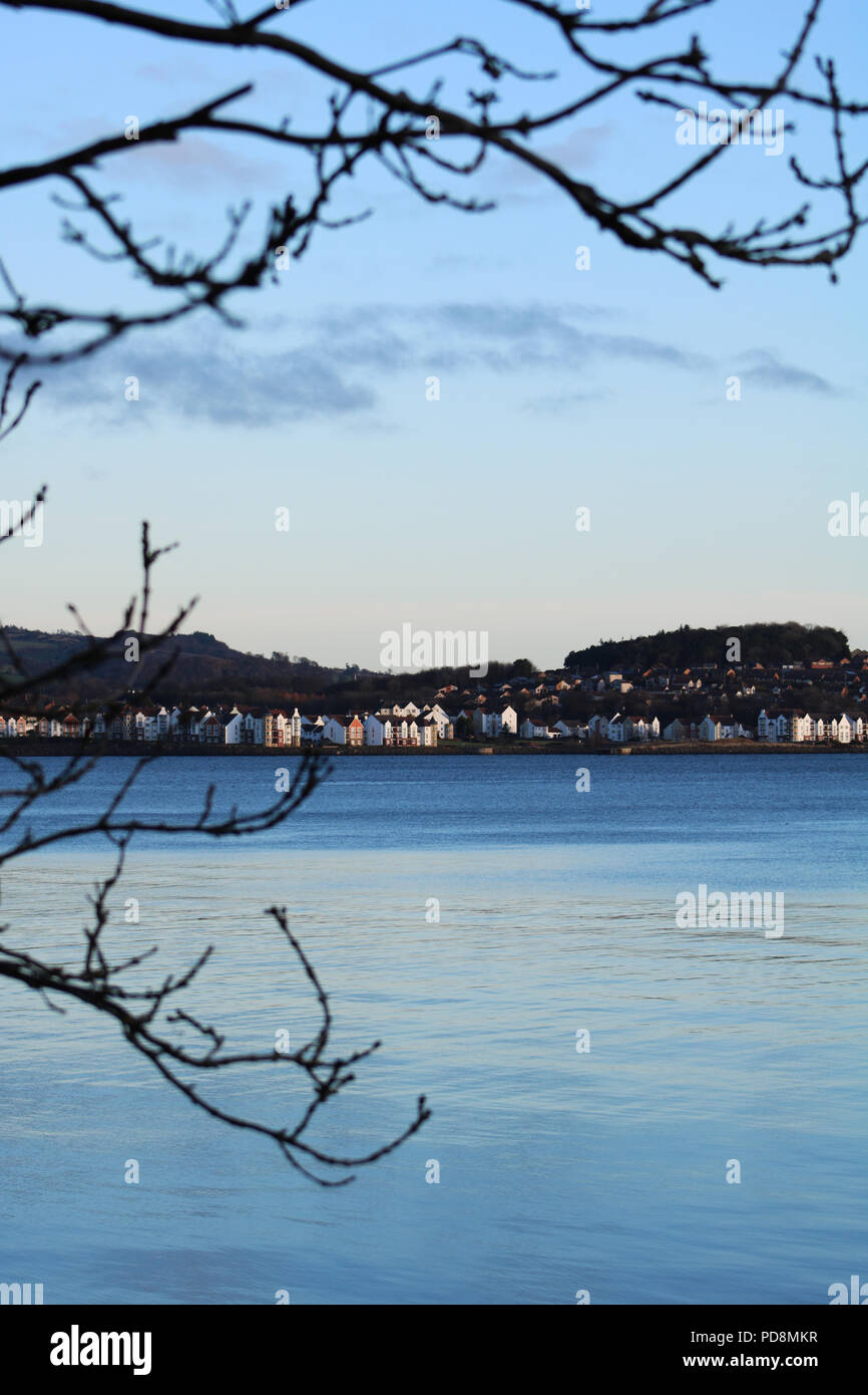 Abendlicher Blick entlang der Küste zwischen Ästen, River Forth Schottland Stockfoto