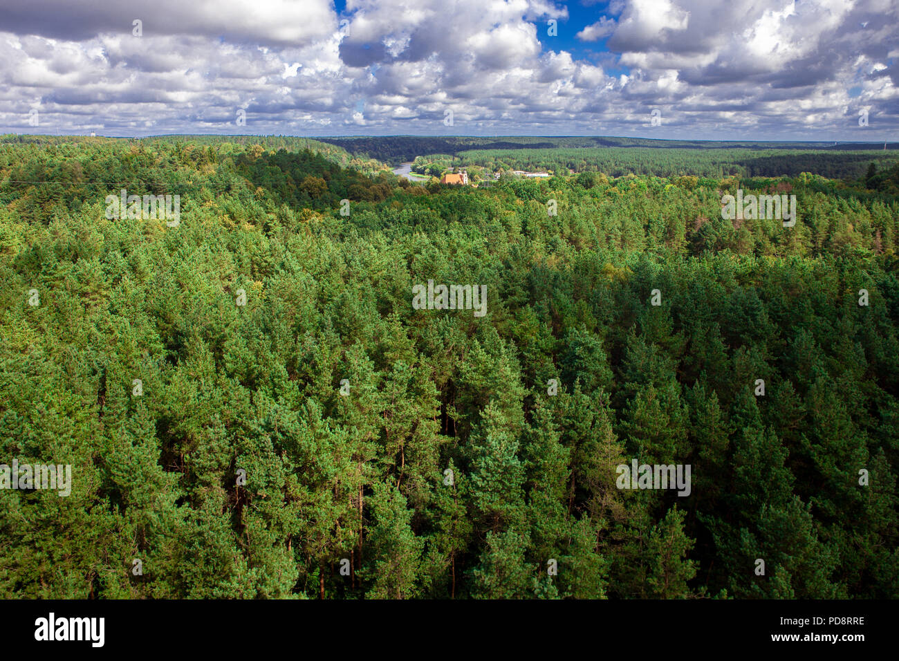 Einen schönen Blick auf den Wald, die Felder und den Fluss von oben. Drone Fotografie der Stadt Stockfoto