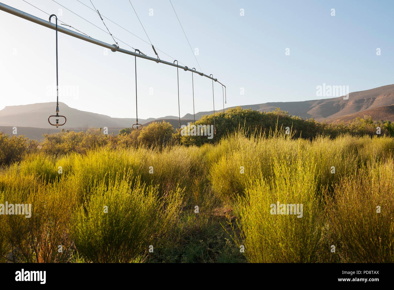 Bewässerungssystem Rooibos Tee Plantagen in den Cederberg Mountains in Südafrika. Stockfoto