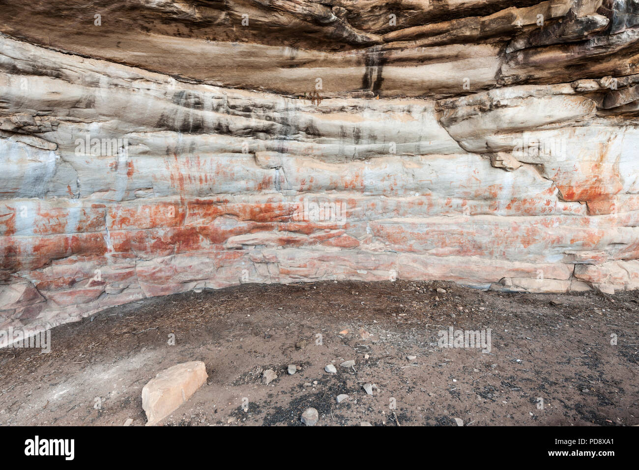 Indigenen San rock Kunst an den Wänden der Höhle in der cederberg Mountains in Südafrika. Stockfoto