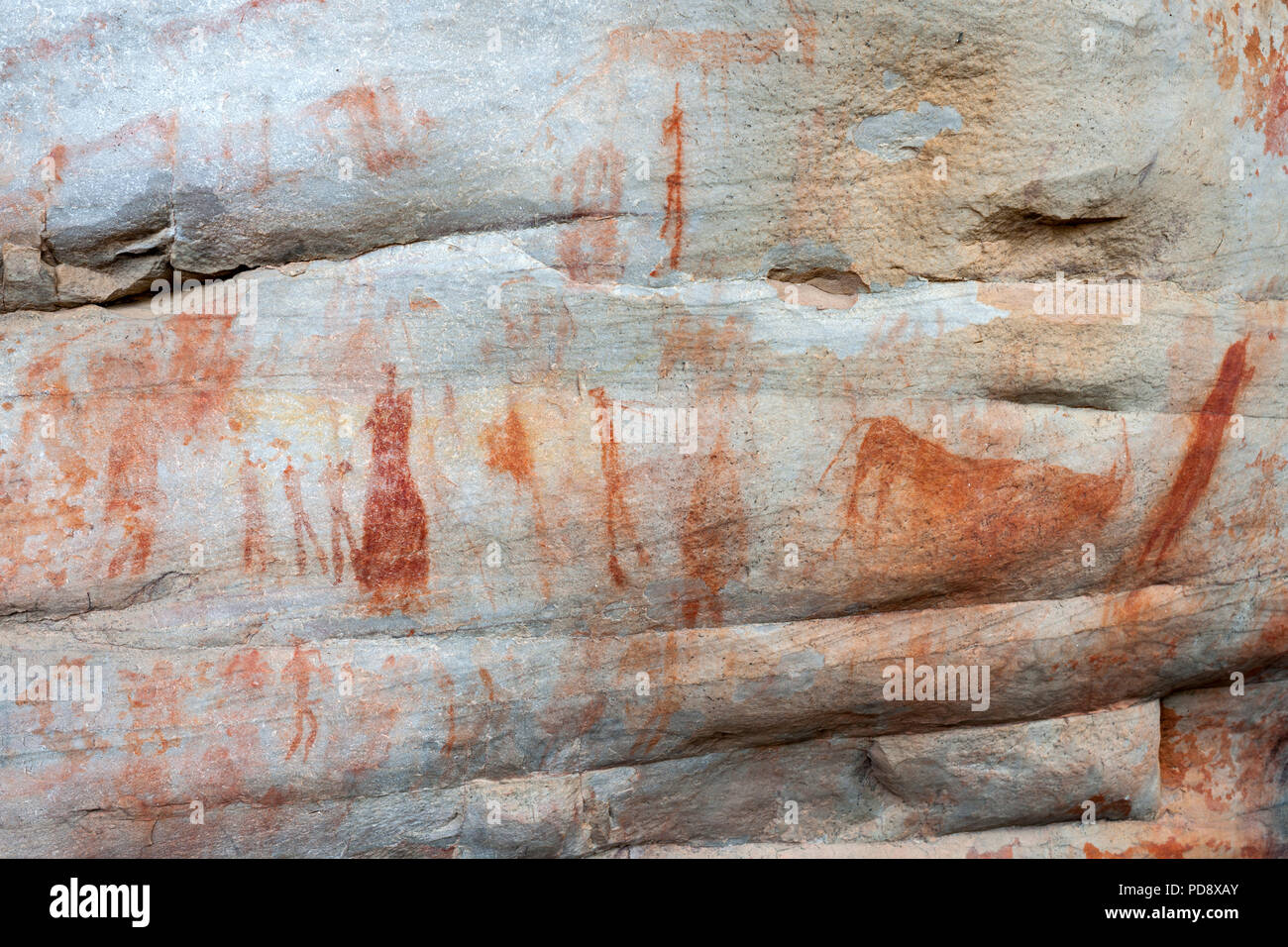 Indigenen San rock Kunst an den Wänden der Höhle in der cederberg Mountains in Südafrika. Stockfoto