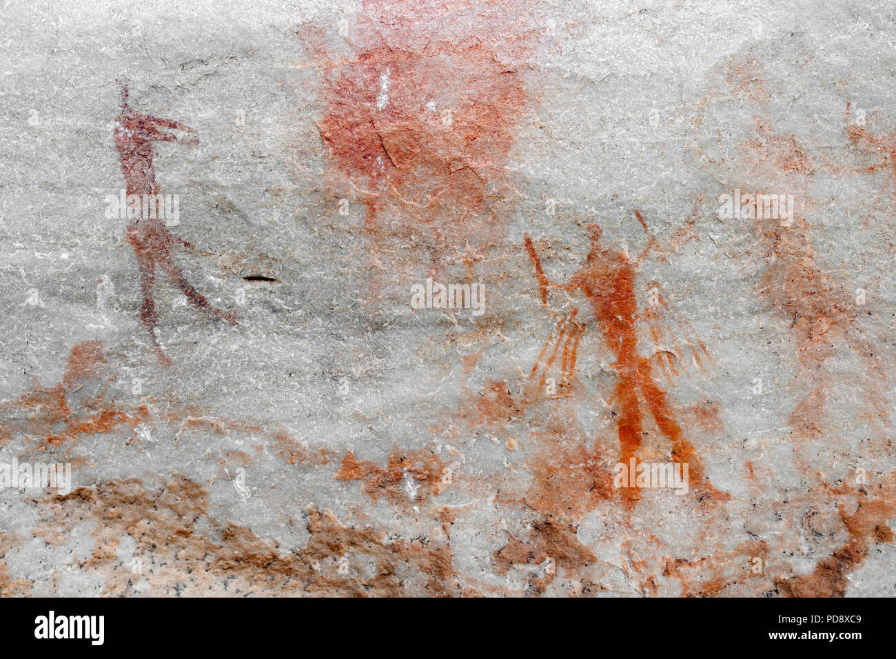 Indigenen San rock Kunst an den Wänden der Höhle in der cederberg Mountains in Südafrika. Stockfoto