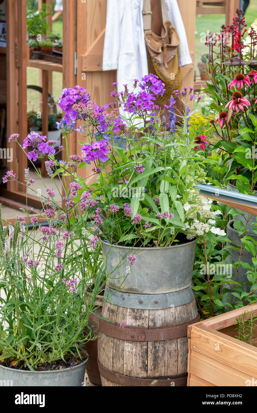 Blumenschau vor einem Gewächshaus eine Blume zeigen. Großbritannien Stockfoto