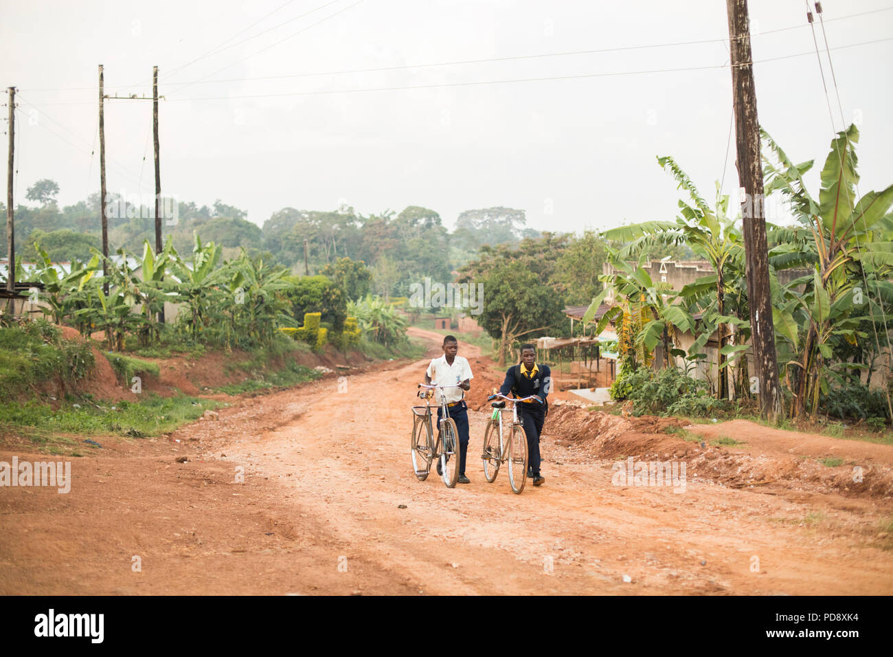 Schülerinnen und Schüler fahren mit dem Fahrrad in den frühen Morgenstunden in Mukono, Uganda in die Schule. Stockfoto