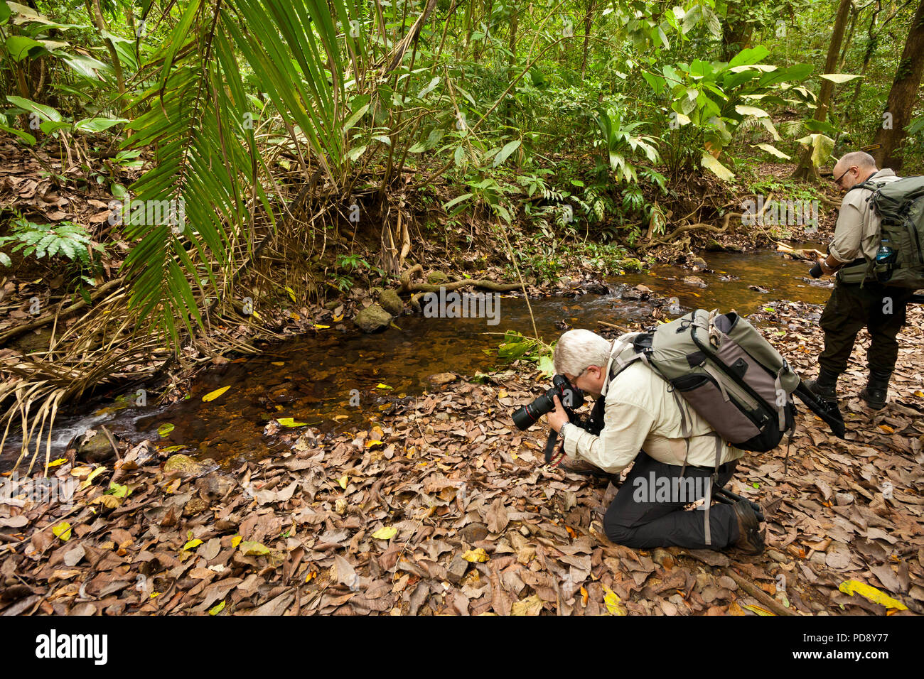Zwei Naturfotografen im Regenwald von Soberania Nationalpark, Republik Panama. Stockfoto