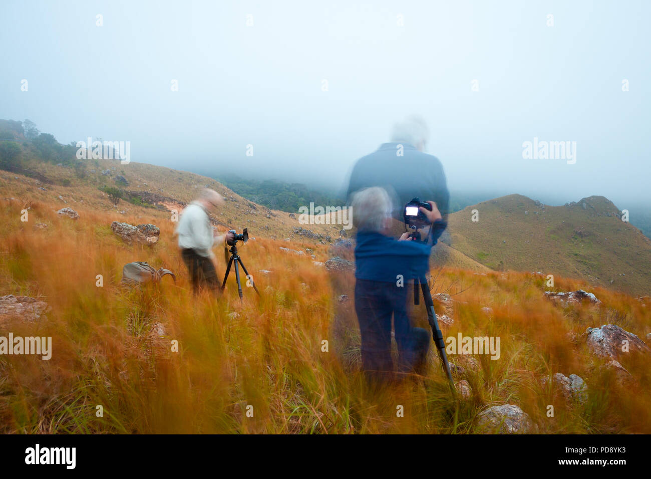 Outdoor Fotografen in Altos de Campana Nationalpark, Republik Panama. Stockfoto
