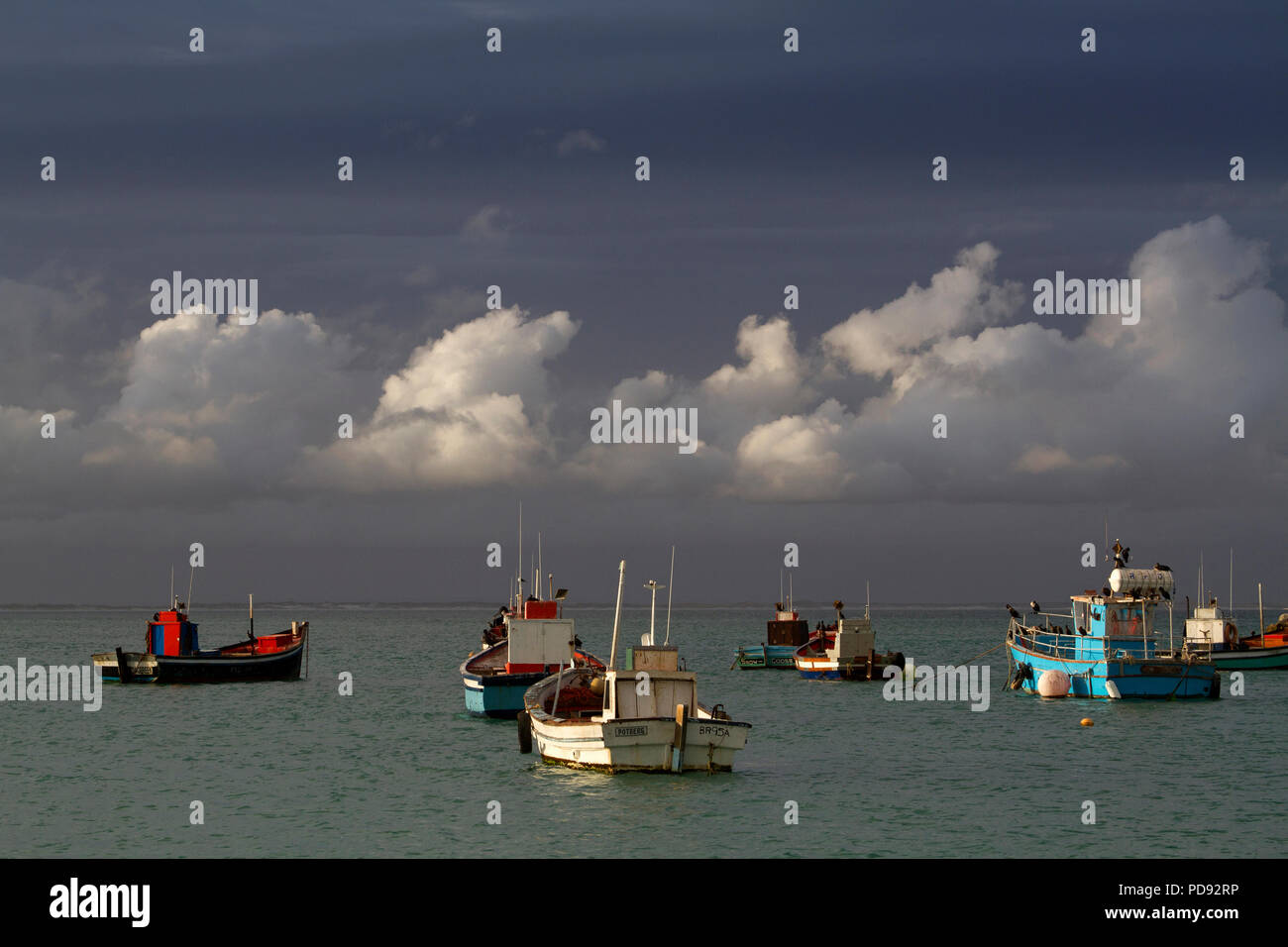 Fischtrawler am Hafen von Struisbaai Stockfoto
