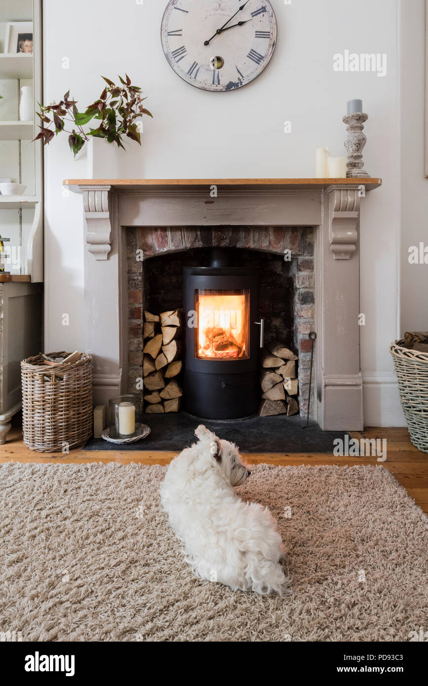 Highland Terrier eingerollt vor einem Holzofen Stockfoto