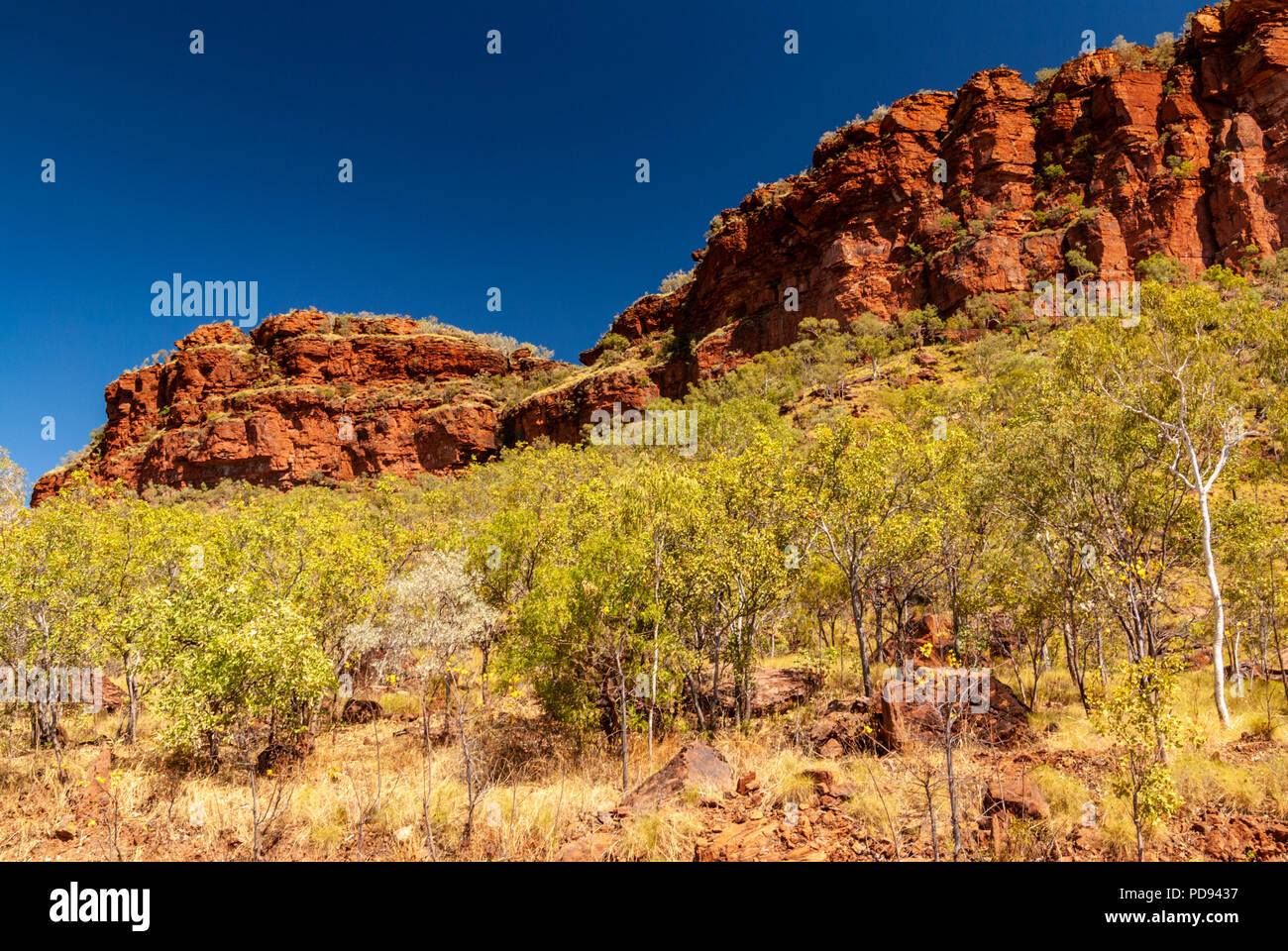 JUDBARRA NATIONALPARK EHEMALS GREGORY NATIONAL PARK, Northern Territories, Australien Stockfoto