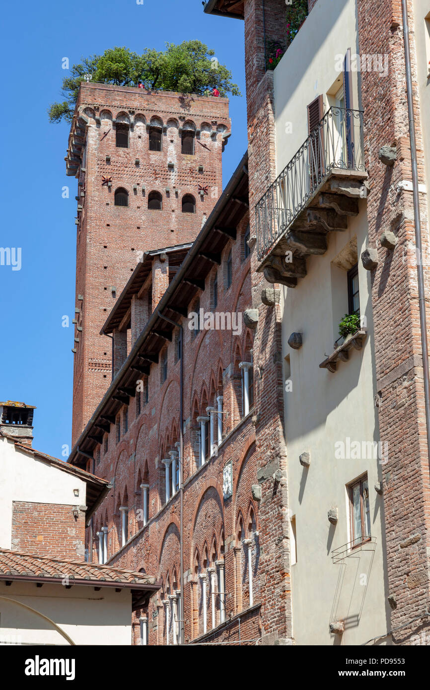 Der Torre Guinigi (134.48 ft hoch) in Lucca (Toskana, Italien). Aus Backstein, es stammt aus dem Jahrhundert XIV. Stockfoto