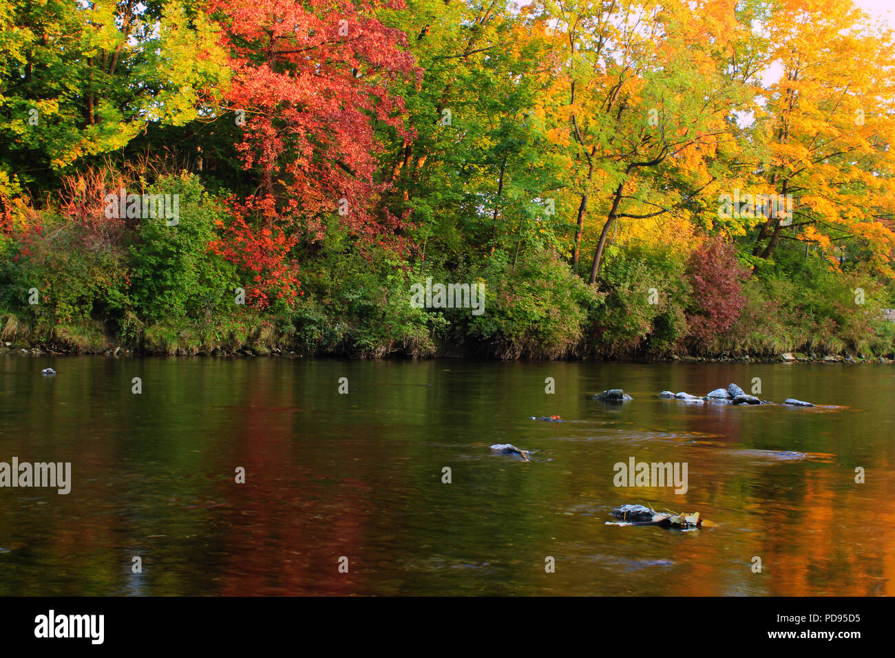 Indische Herbst bunt gefärbte Laub auf den Bäumen im Wald am Fluss mit Felsen und herrliche Reflexion Stockfoto