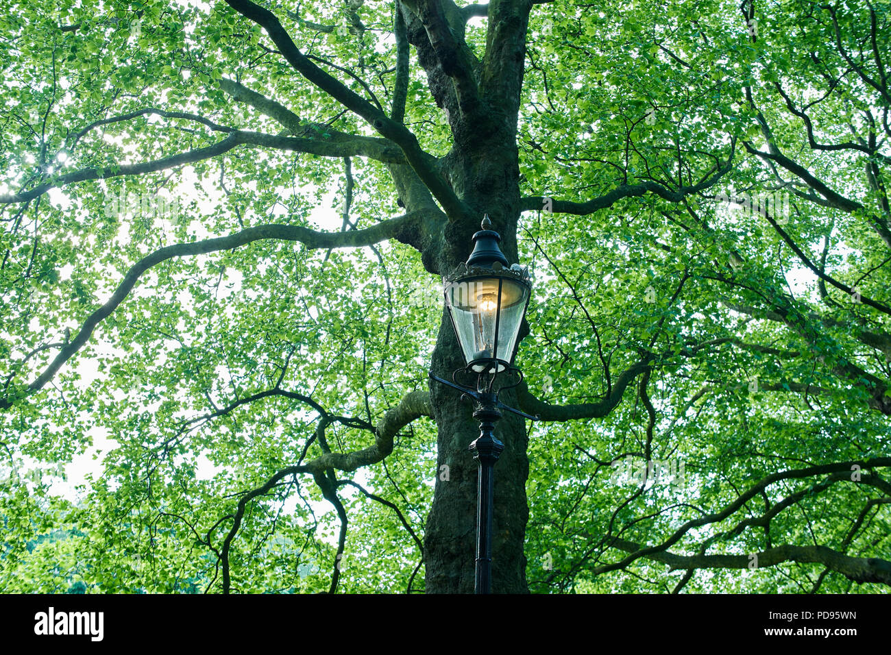 Lampe Licht in einem Londoner Park Stockfoto