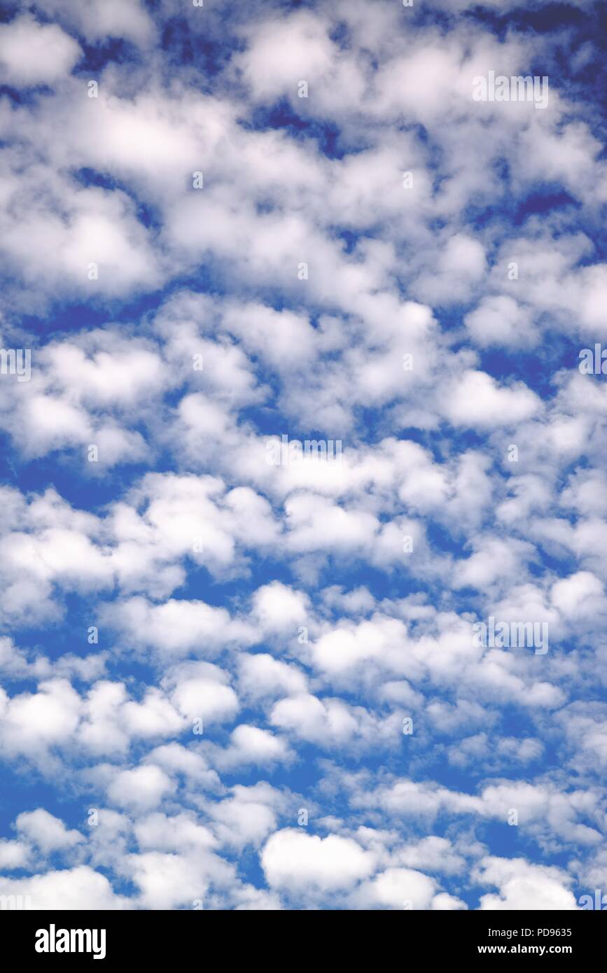 Detail einer Makrele Himmel oder altocumului Stockfoto