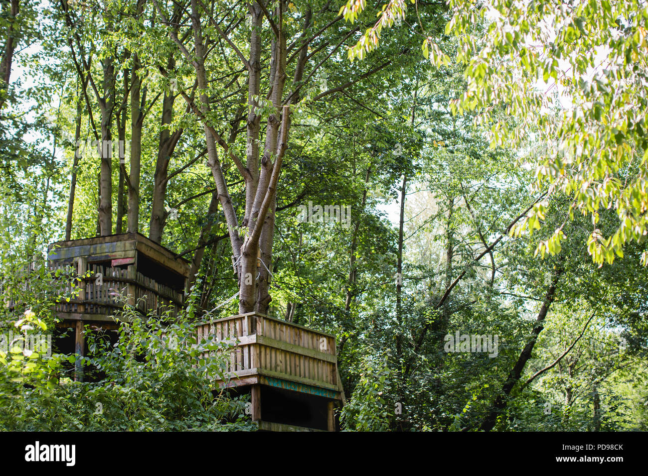 Eine Wiese von seltenen sauren Wiesen im Park Spaziergang Nature Reserve, ausgeführt von der Finsbury Park auf Highgate, im Norden von London Stockfoto