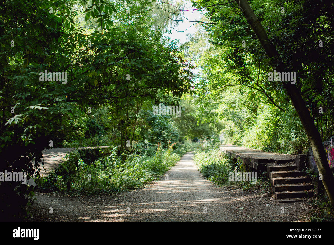 Stillgelegte, überwucherten Bahnsteigen Beton des alten Crouch End Station entlang der alten Bahnlinie/Track auf die Parklandschaft Spaziergang in Haringey, N. London Stockfoto