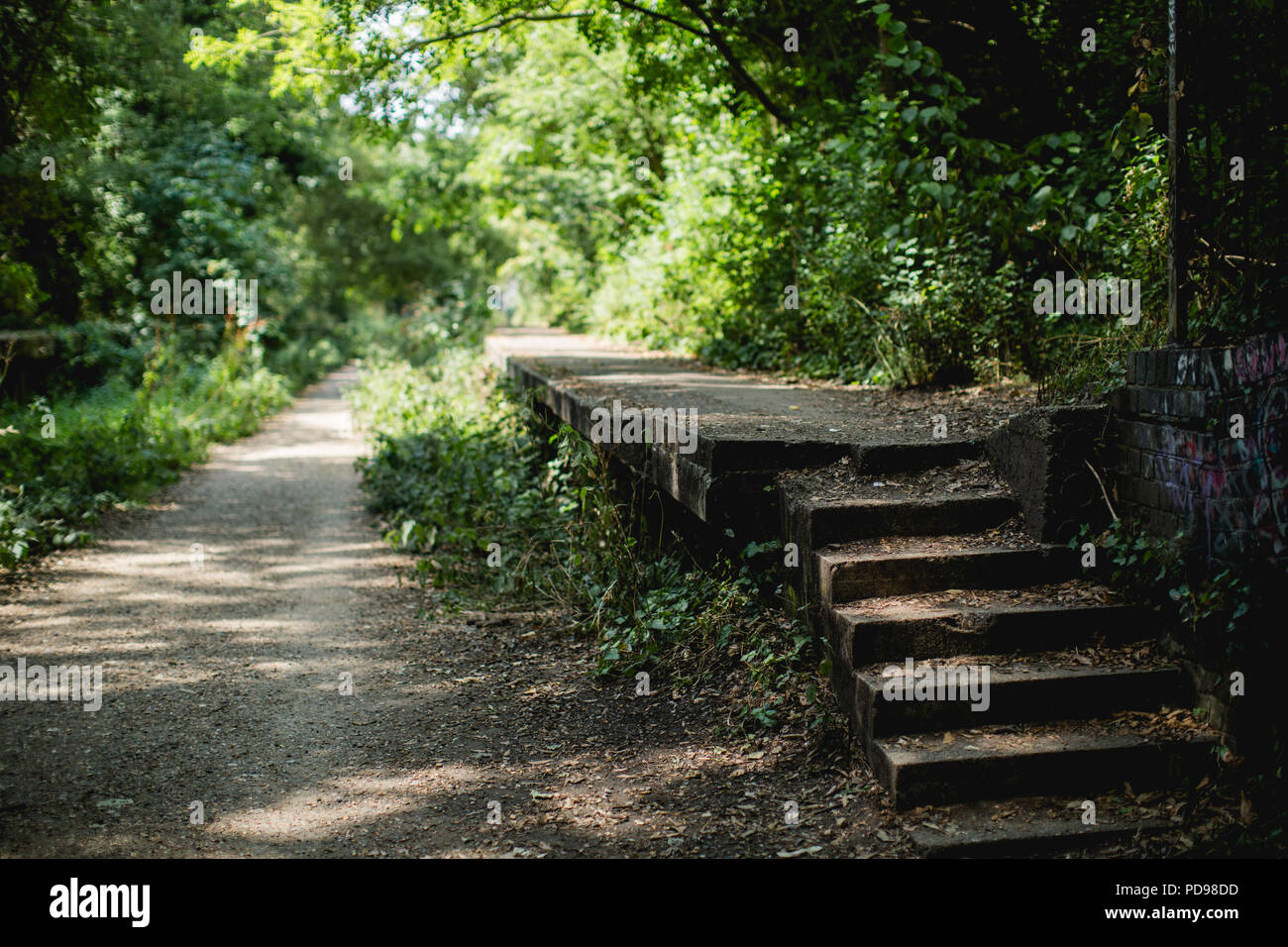 Stillgelegte, überwucherten Bahnsteigen Beton des alten Crouch End Station entlang der alten Bahnlinie/Track auf die Parklandschaft Spaziergang in Haringey, N. London Stockfoto