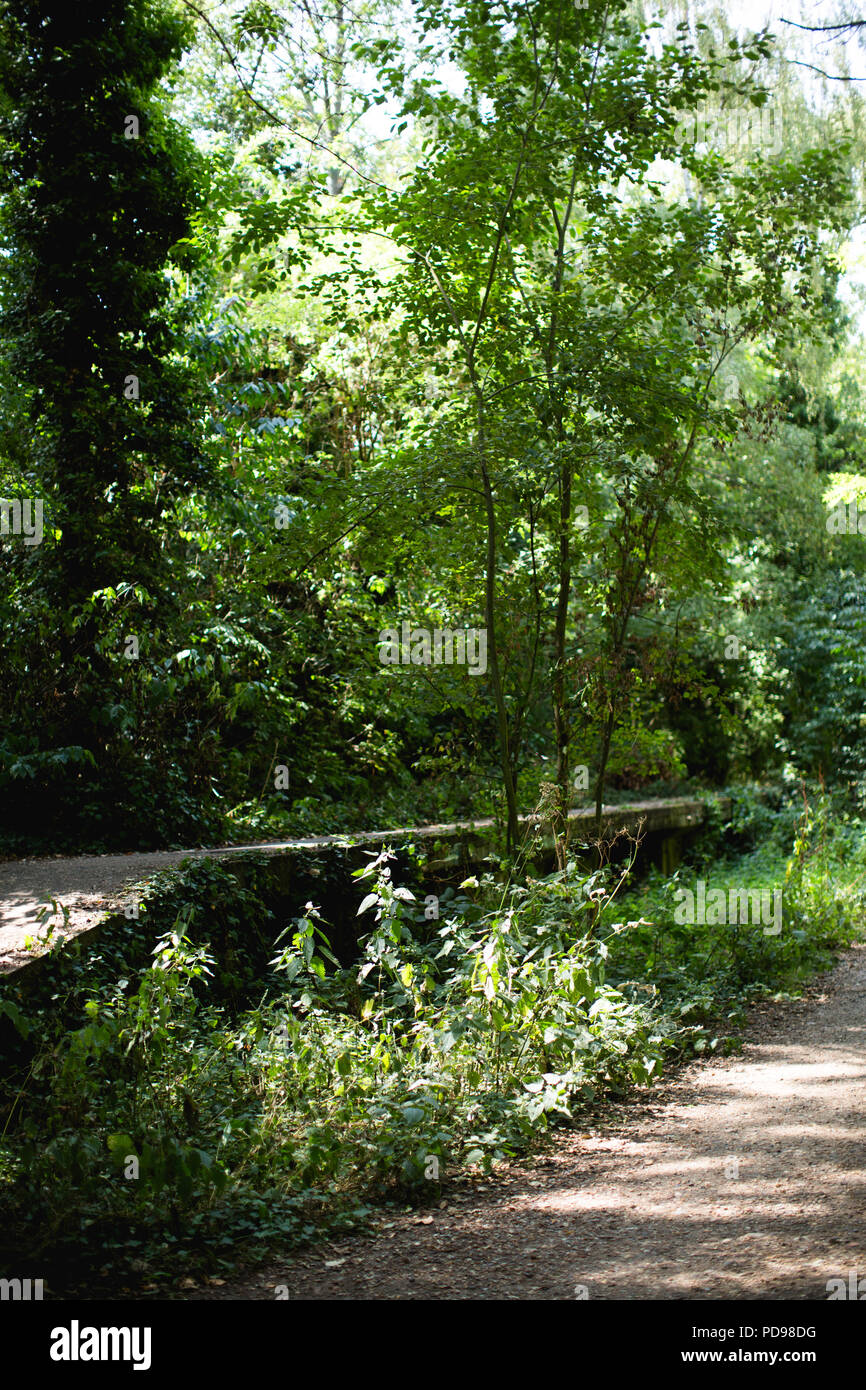 Stillgelegte, überwucherten Bahnsteigen Beton des alten Crouch End Station entlang der alten Bahnlinie/Track auf die Parklandschaft Spaziergang in Haringey, N. London Stockfoto