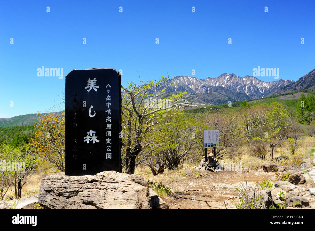 Utukushi Mori (schöne Wald) Der kiyosato Highlands Stockfoto