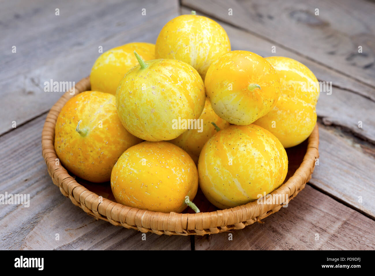 Zitrone Gurken, auch als Cucumis sativus auf einem rustikalen Holzmöbeln Hintergrund bekannt. Stockfoto