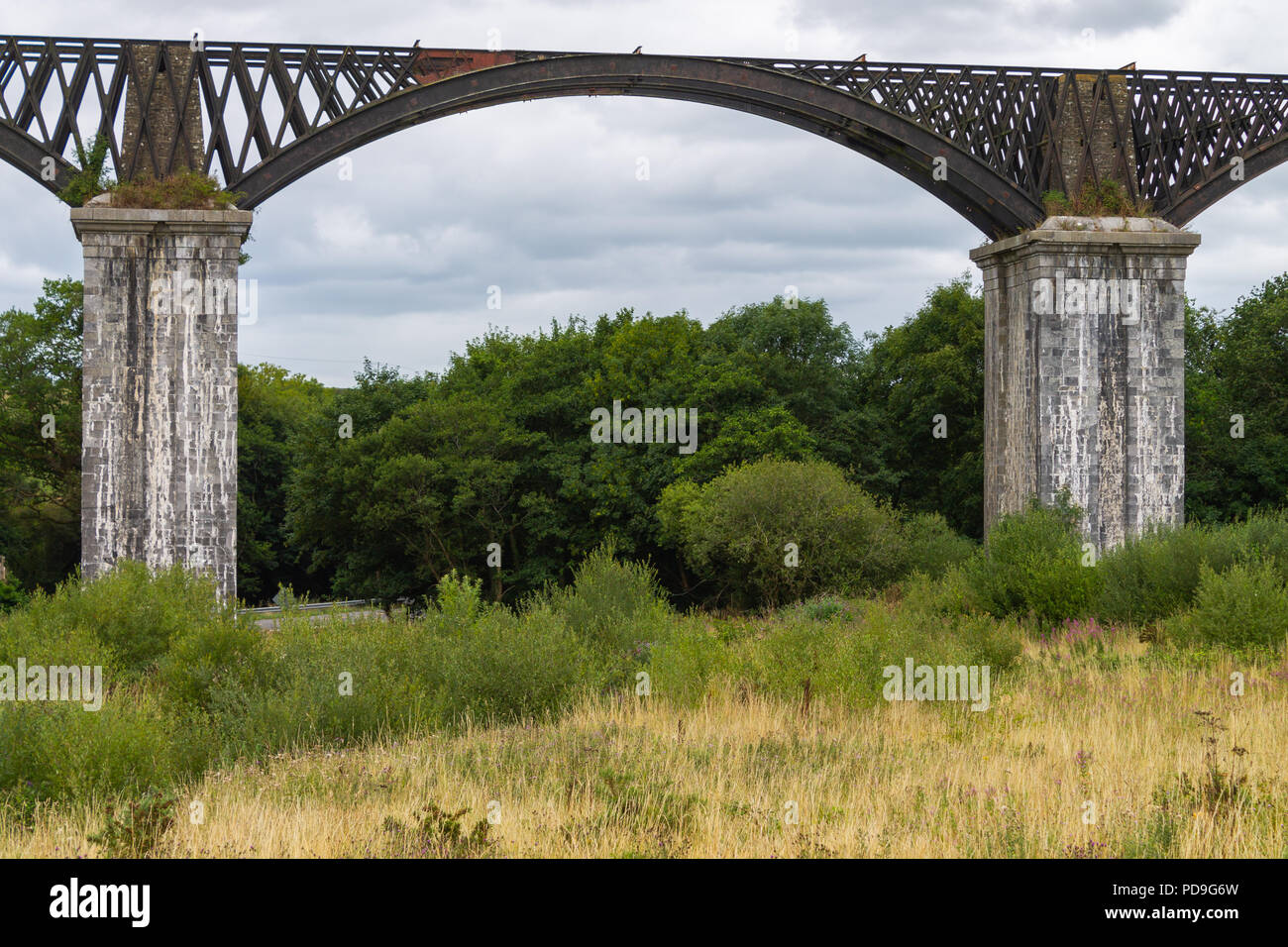Stillgelegte Eisenbahnviadukt der Stadt Cork, Irland Stockfoto