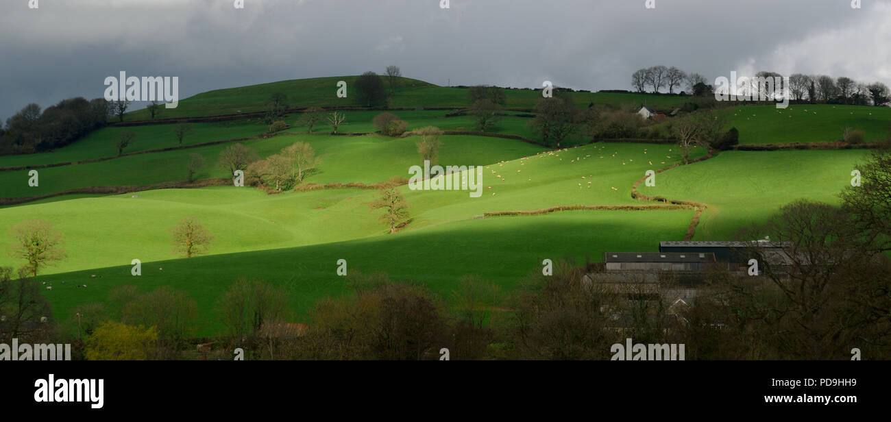 Sonnenstrahl leuchtenden Flächen auf dem Hügel im Dorf Dalwood in Blackdown Hills AONB (Gebiet von außergewöhnlicher natürlicher Schönheit), Devon Stockfoto
