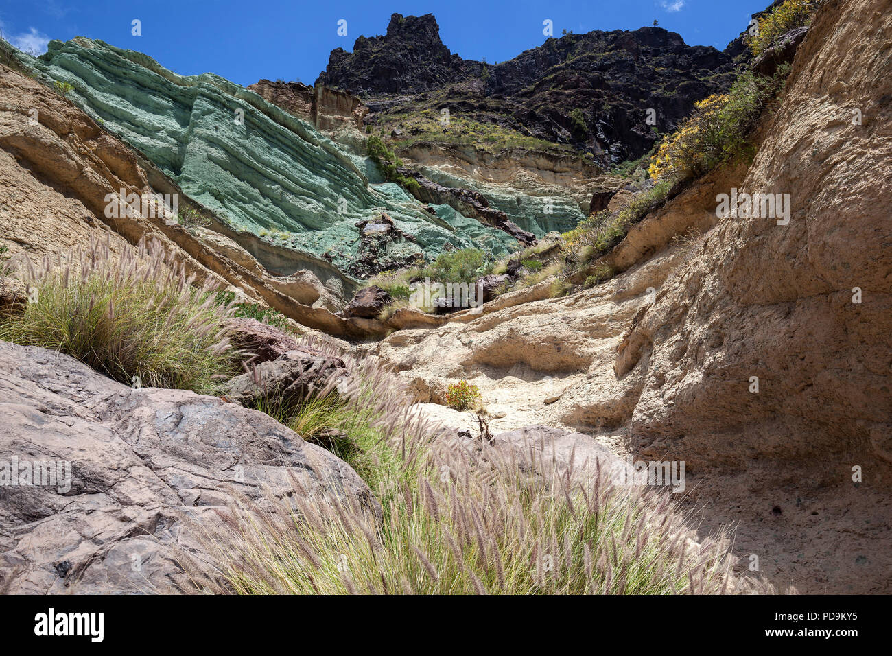 Türkisfarbener rock Layer los Azulejos de Veneguera, Vulkangestein durchdrungen von Natrium Eisensilikat, Mogan, Neunauge Gras Stockfoto