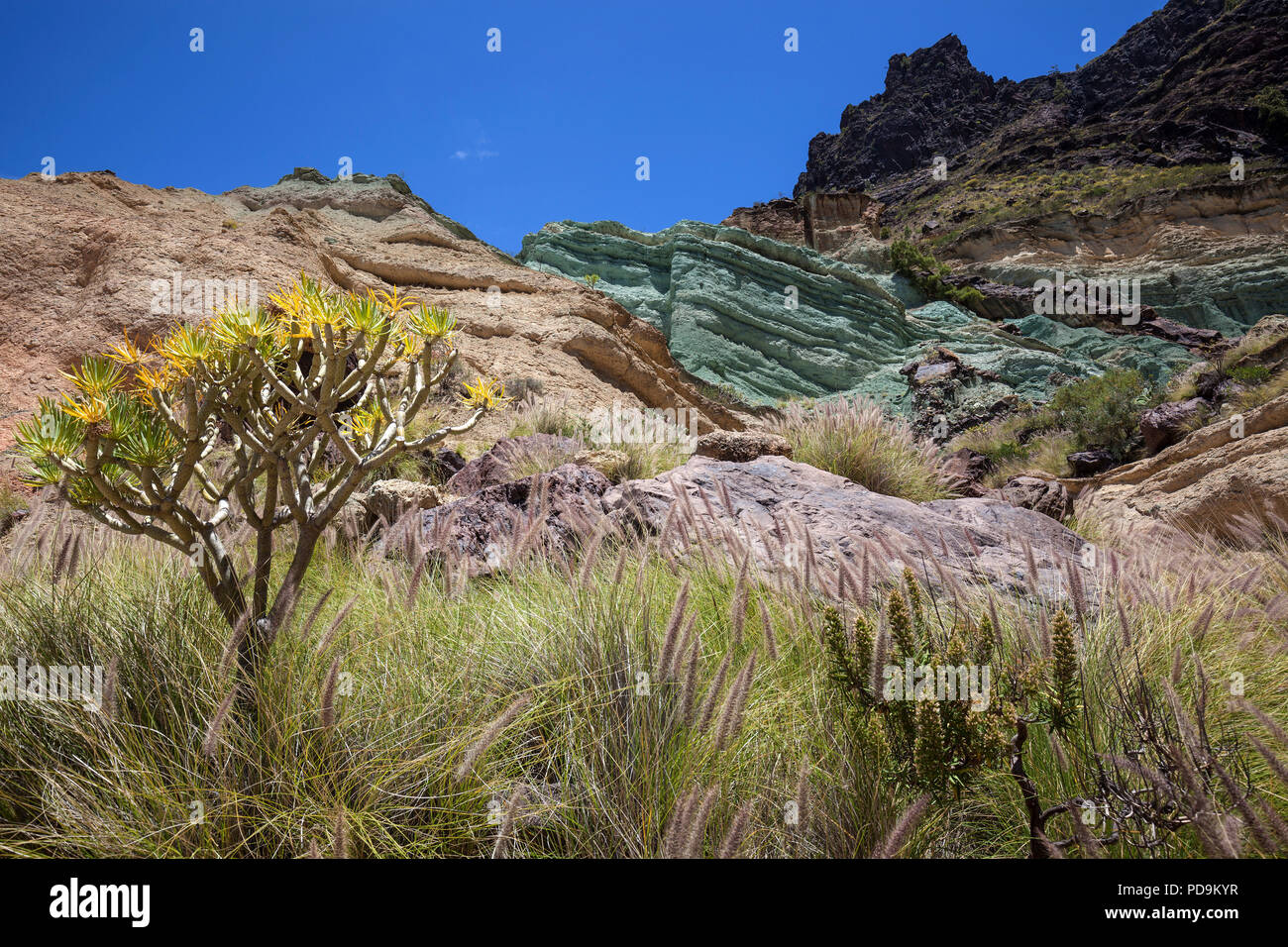 Türkisfarbener rock Layer los Azulejos de Veneguera, Neunauge, Gras (Pennisetum alopecuroides) und Balsam Wolfsmilch (Euphorbia Stockfoto