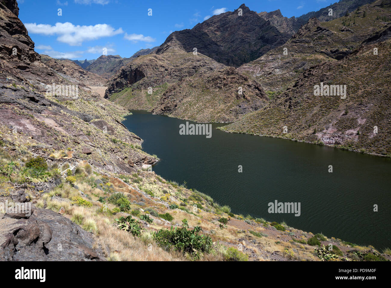 Reserva Presa Caidero de La Nina, Barranco Tejada, Gran Canaria, Kanarische Inseln, Spanien Stockfoto