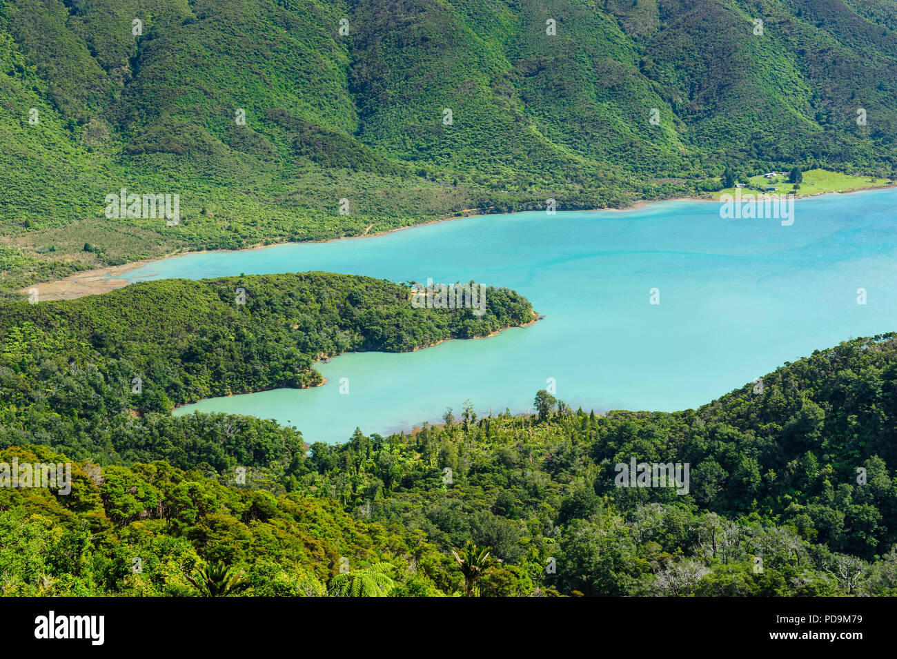 Blick über die Marlborough Sounds, Südinsel, Neuseeland Stockfoto