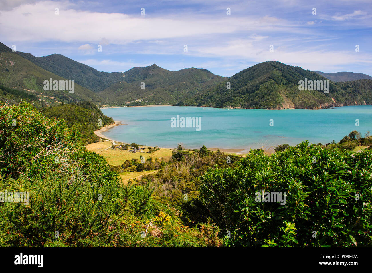 Blick über die Marlborough Sounds, Südinsel, Neuseeland Stockfoto