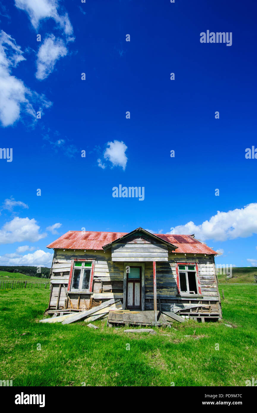 Alte marode Landwirtschaft Cottage, Northland, North Island, Neuseeland Stockfoto