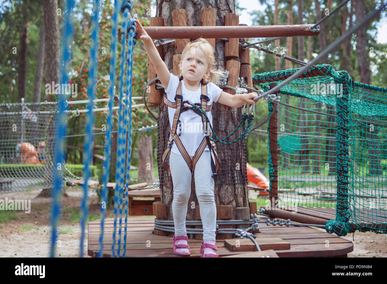 Der tapfere kleine Mädchen übergibt ein Hindernis im Seilpark. Stockfoto