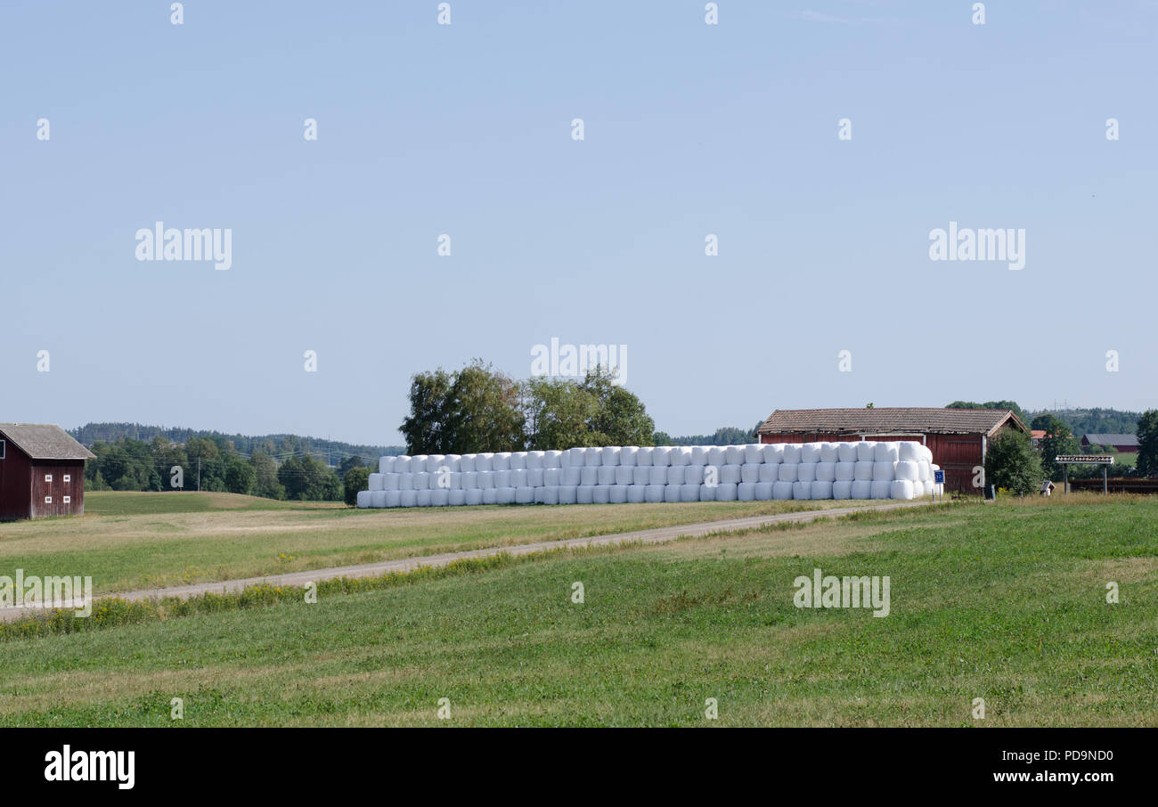 Einsilierung übereinander auf einem Feld in der nördlichen Schweden verpackt Stockfoto