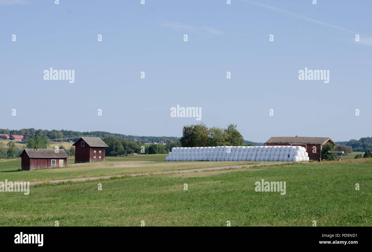 Einsilierung übereinander auf einem Feld in der nördlichen Schweden verpackt Stockfoto