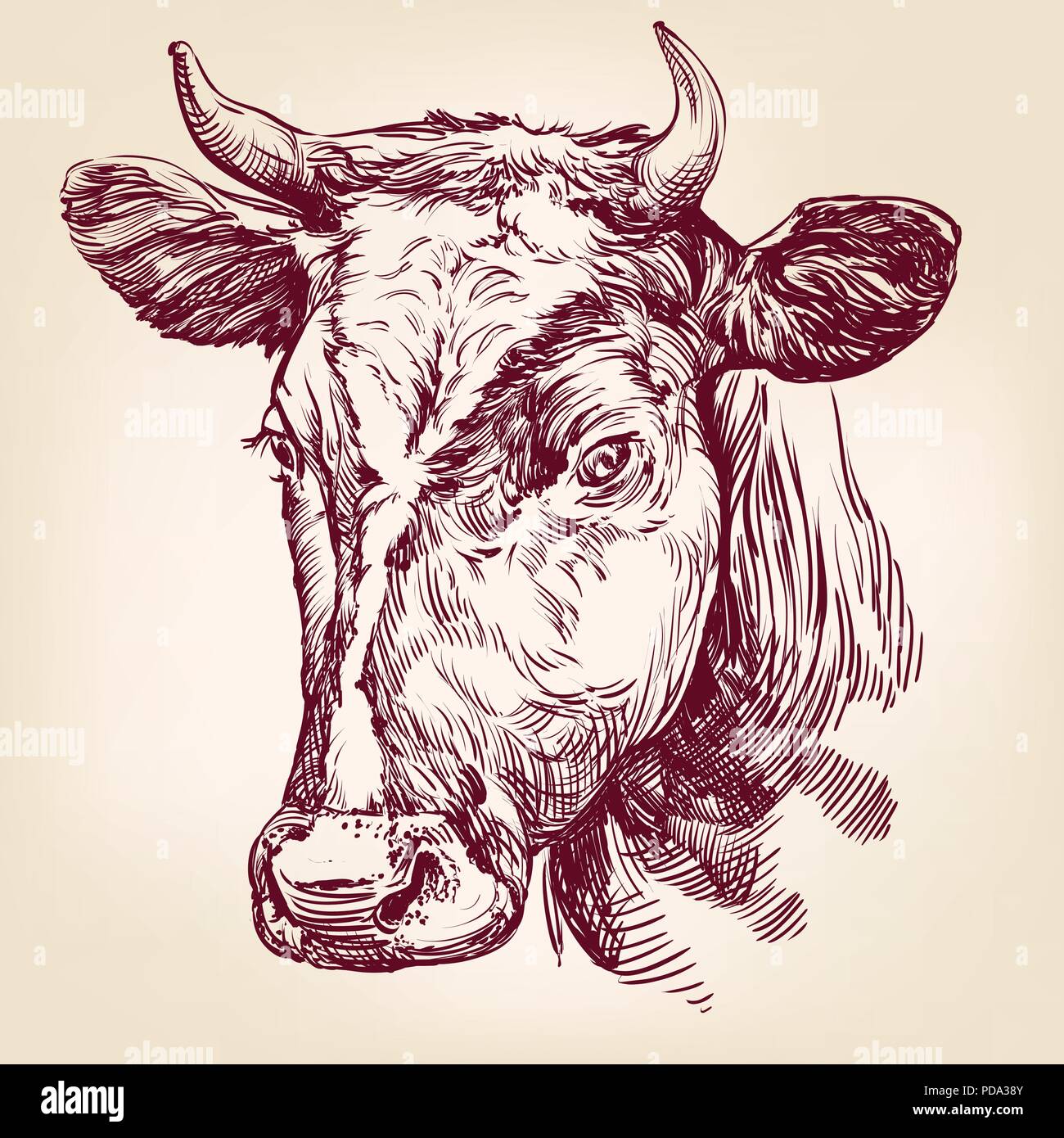 Kuh Hand gezeichnet Vektor llustration Stock Vektor