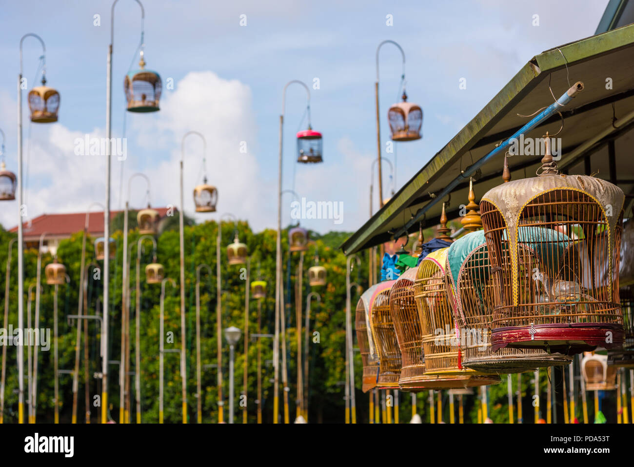 Vogelkäfige auf hohen Pfosten an kebun Baru in Singapur. Stockfoto