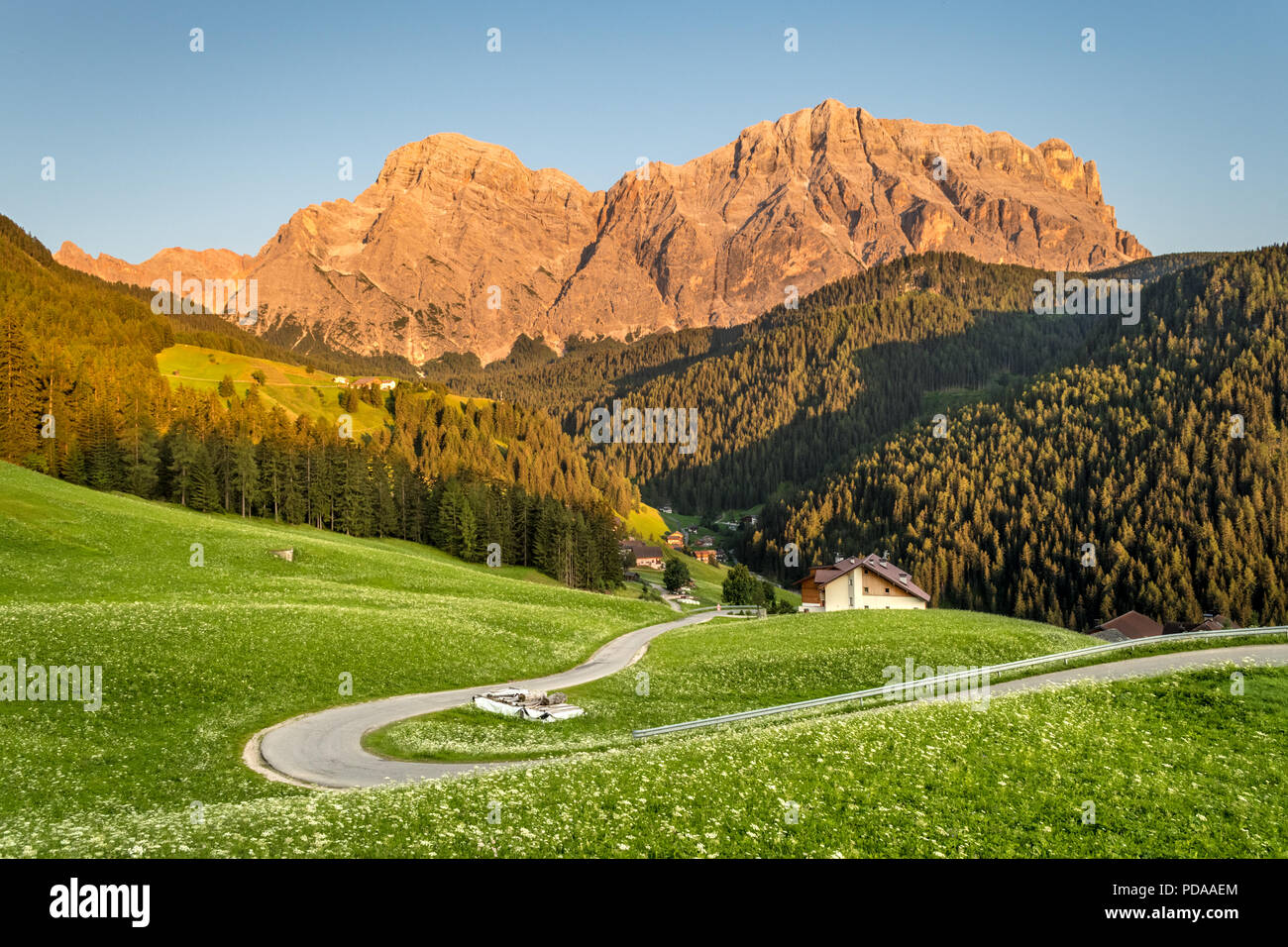 Berglandschaft bei Sonnenuntergang in den Dolomiten in Südtirol: Berggipfel durch Sonnenuntergang beleuchtet, gewundene Straße auf weiße Blume Wiese in einem Tal Stockfoto