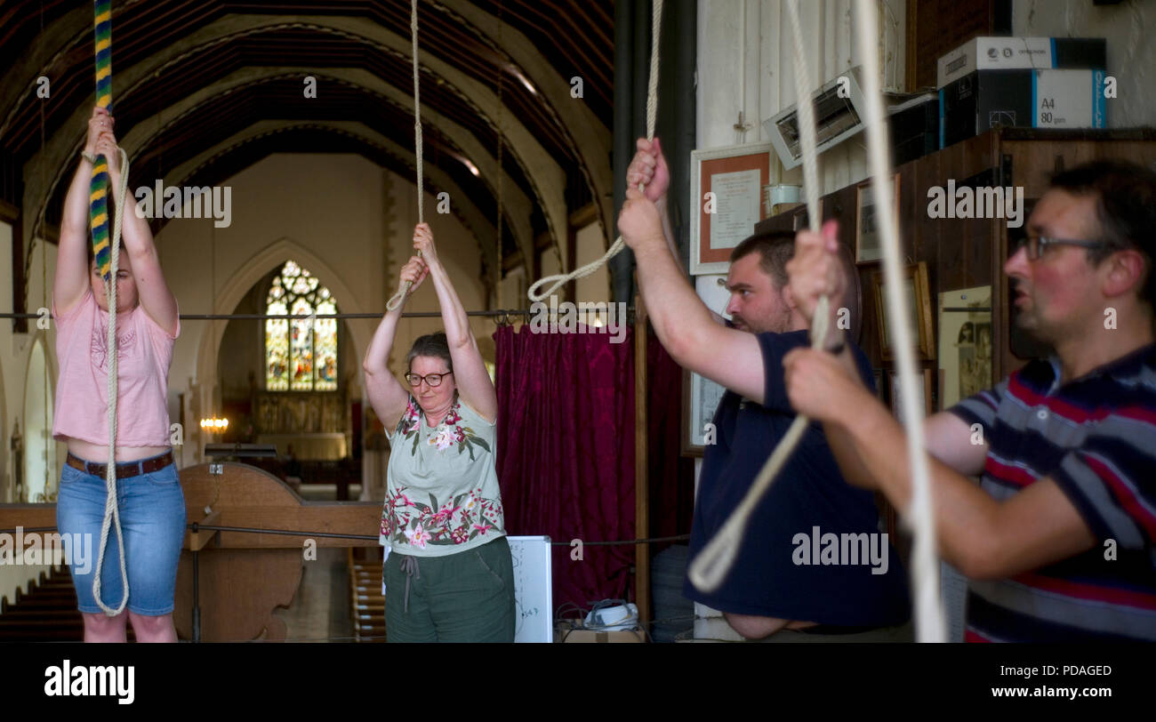 Bell ringers Ring die Glocken in St. EtheldredaÕs Kirche, in Hatfield, Großbritannien, 28. Juli 2018 Stockfoto