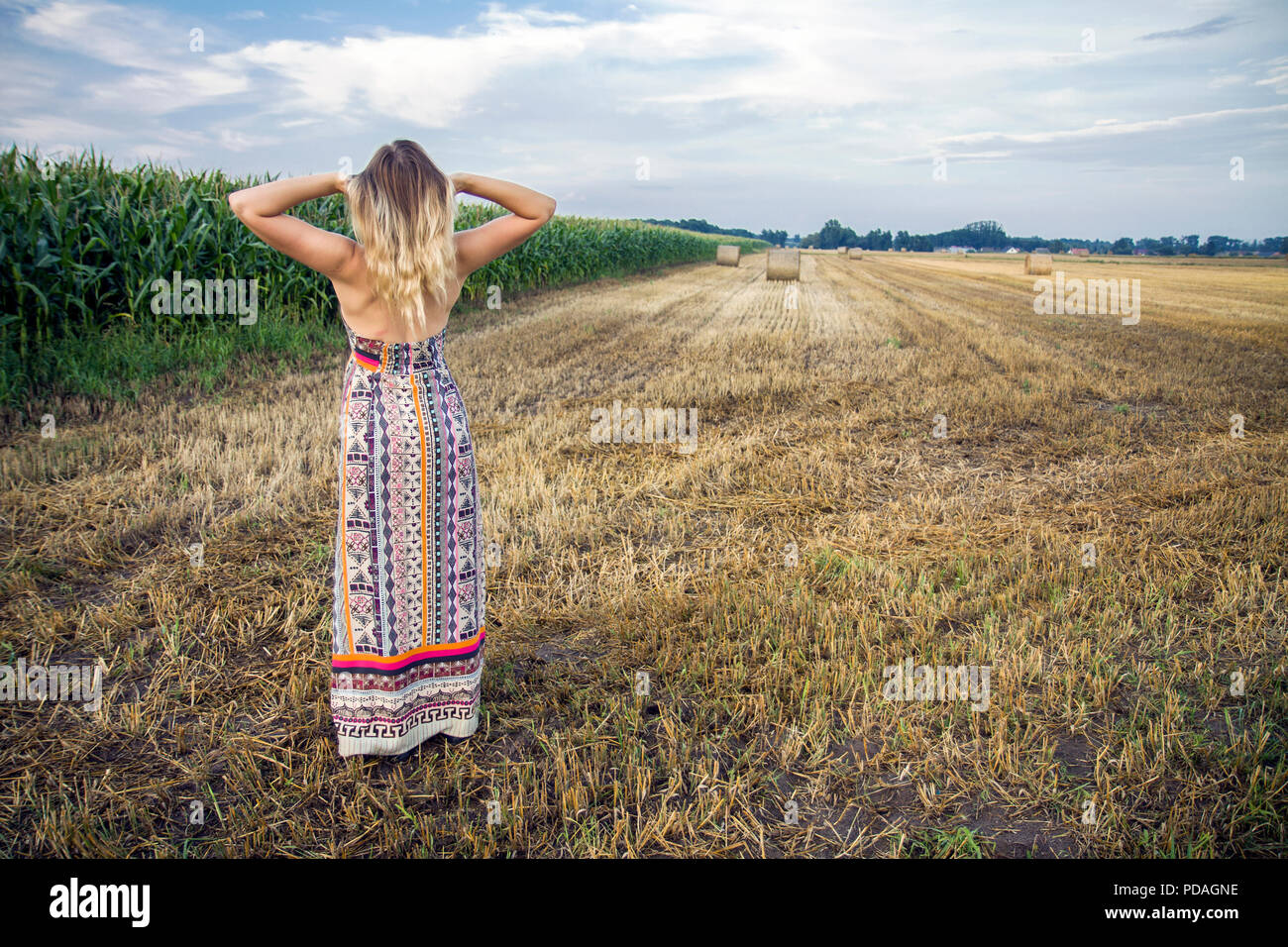 Blonde Mädchen in ein langes Kleid im Maisfeld. Stockfoto