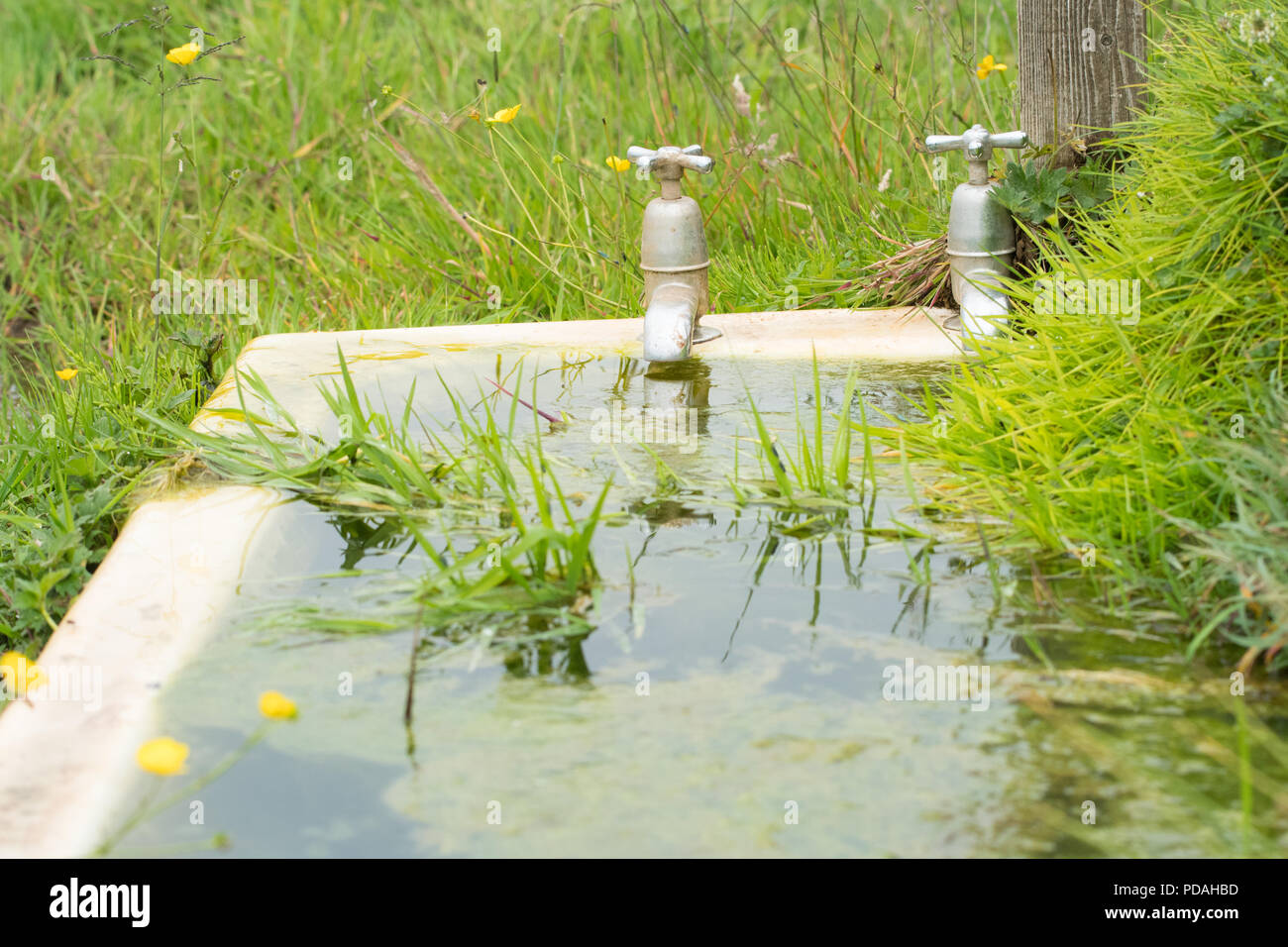 Badewanne im Freien verwendet als Vieh Wassertrog - Schottland, Großbritannien Stockfoto