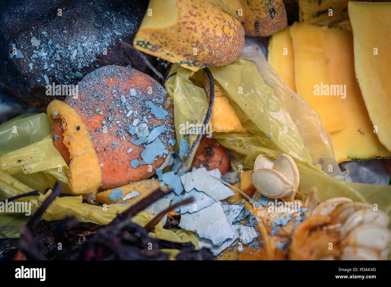 Küchenabfälle Peelings in einem Beutel bereit für das Recycling in Garten Kompost zeigen, wie Gärtner tägliche Haushalt Abfälle wiederverwenden Stockfoto