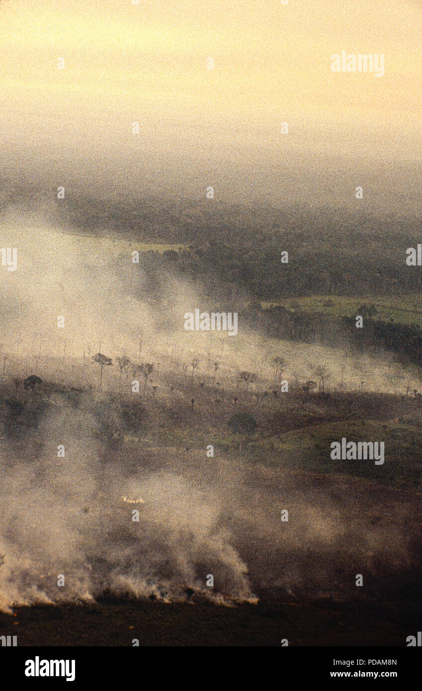 Luftbild des Amazonas Regenwaldes brennen, farm Management mit der Entwaldung, Acre, Brasilien. Stockfoto