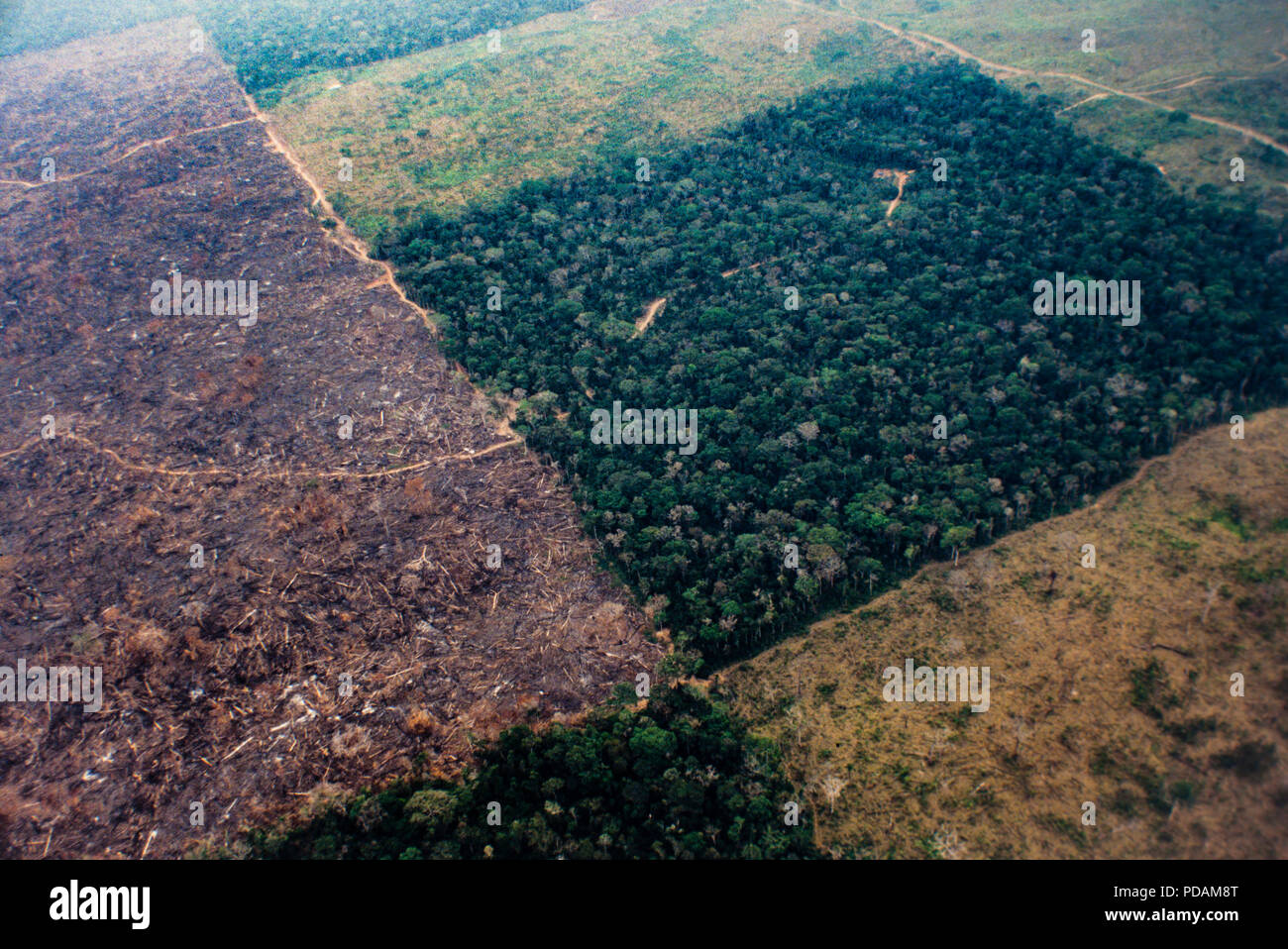Luftbild des Amazonas-regenwaldes Abholzung und Betriebsführung für Vieh. Morgen Zustand, Brasilien. Stockfoto