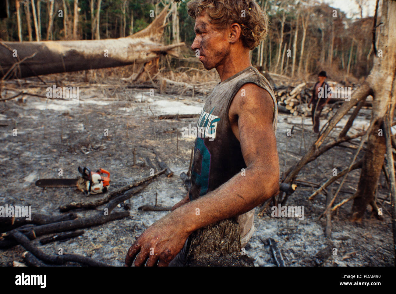Protokollierung, Amazonas Regenwald Abstand, Arbeiter fällten Bäume mit  Kettensäge in einem Hieb-und-verbrannten Flecken des Waldes. Morgen  Zustand, Brasilien Stockfotografie - Alamy