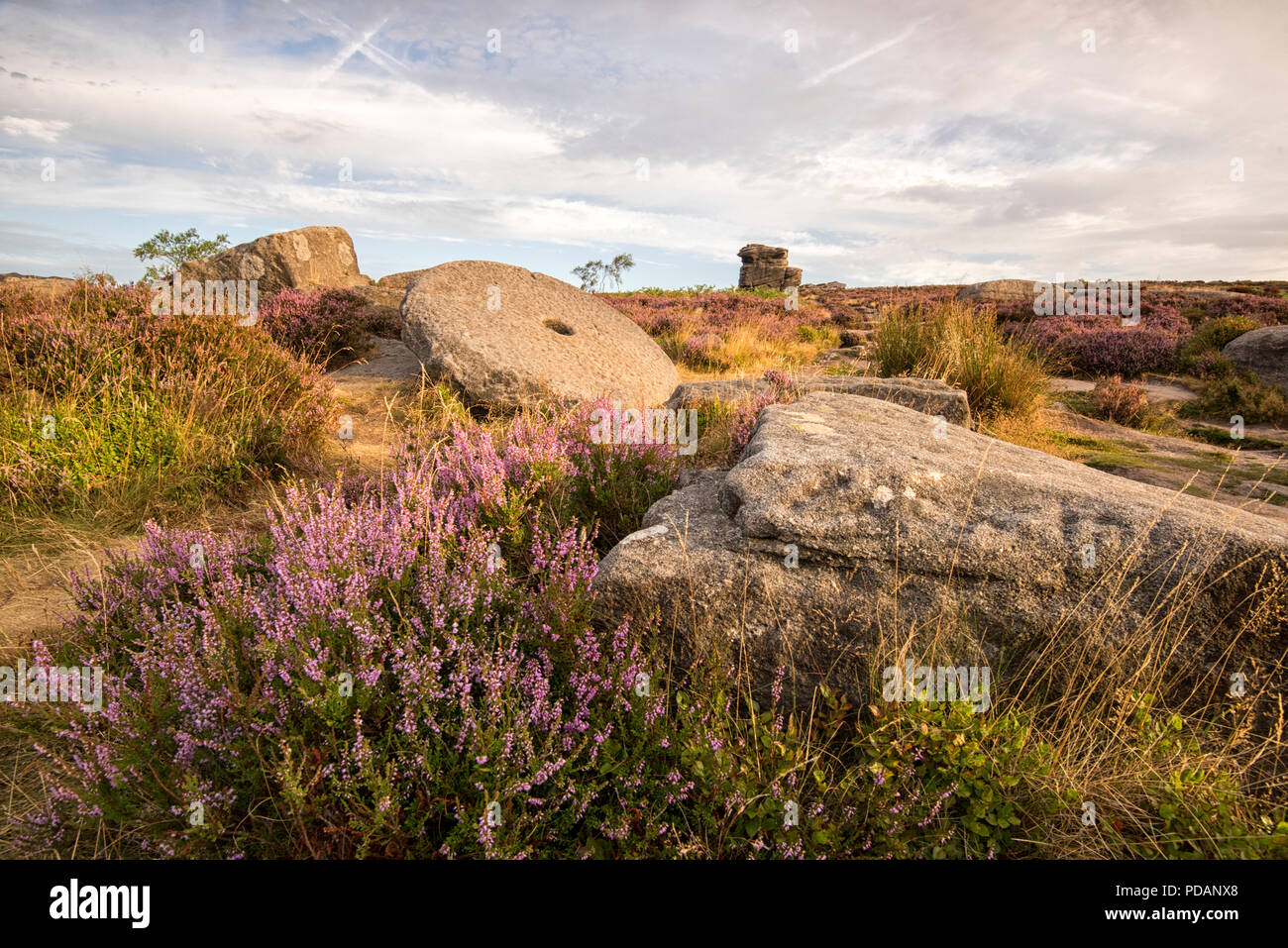 Anfang Sommer morgen Überraschung Blick auf die Hope Valley, Peak District England Großbritannien Stockfoto