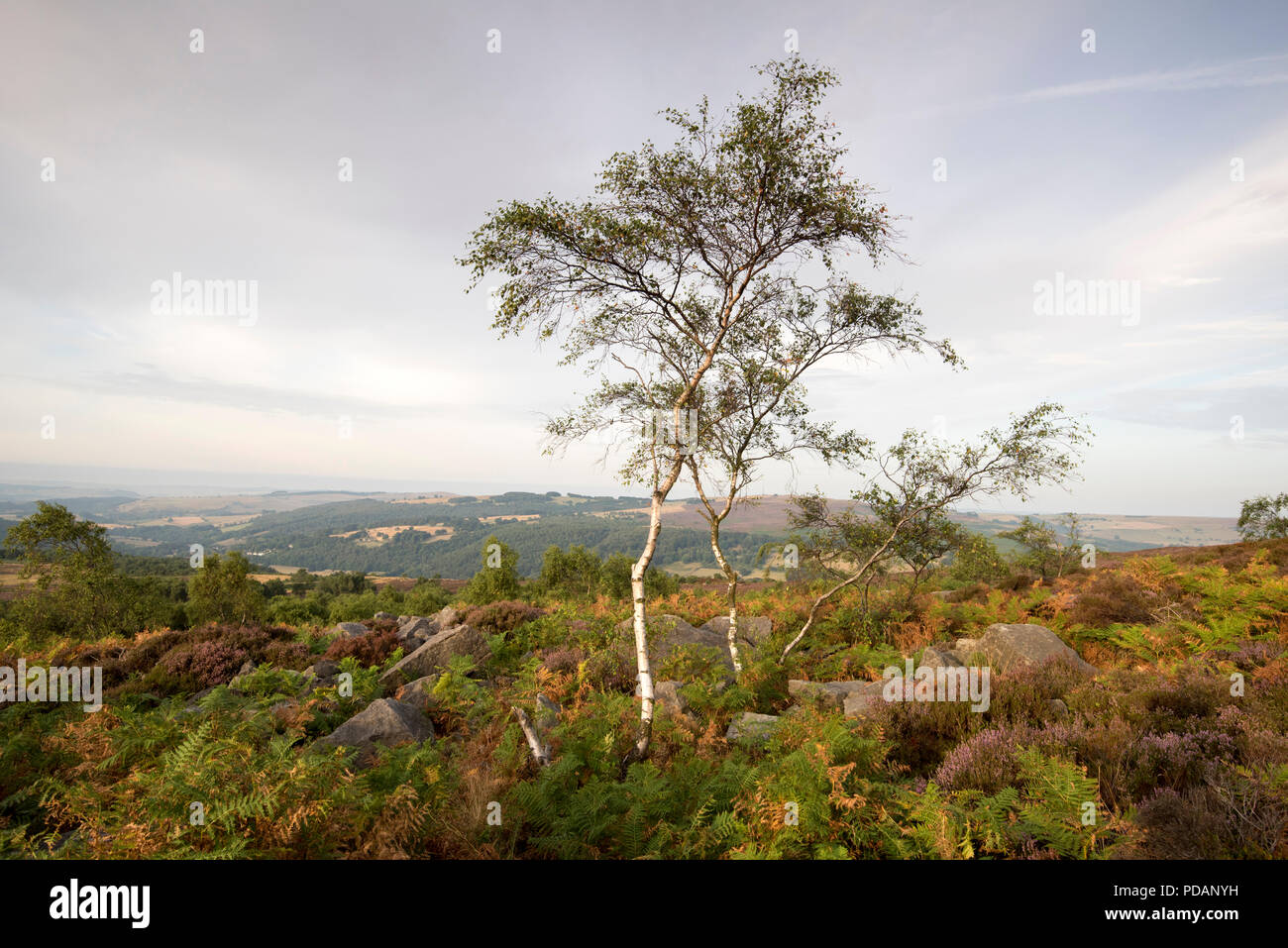 Anfang Sommer morgen Überraschung Blick auf die Hope Valley, Peak District England Großbritannien Stockfoto