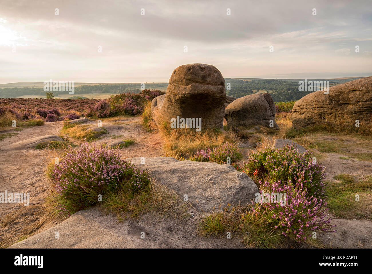 Anfang Sommer morgen Überraschung Blick auf die Hope Valley, Peak District England Großbritannien Stockfoto