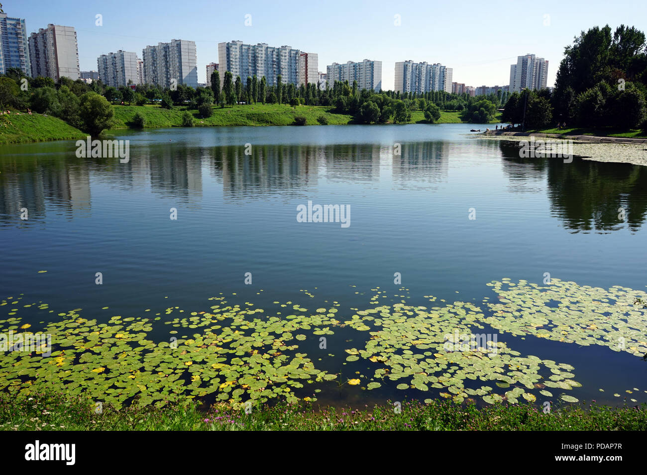 Moskau, Russland - ca. Juli 2018 Ochakovsky Teich Stockfoto