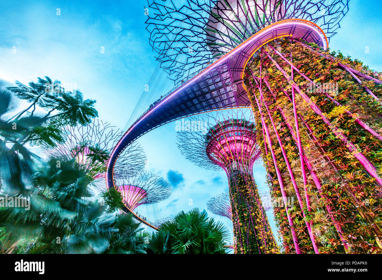 Singapur, Marina Bay, Gärten durch die Bucht, die Supertree Grove Stockfoto
