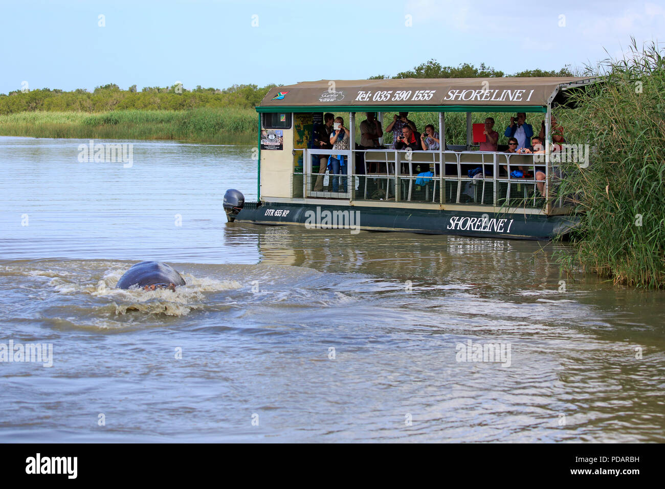 Ausflugsschiff, Touristen auf Boot-Safari, St Lucia, St Lucia Estuary, Isimangaliso Wetland Park, Kwazulu Natal, Südafrika, Afrika Stockfoto